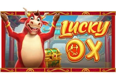 limao bet